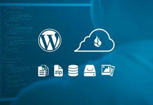 افزونه وردپرس BackWPUp